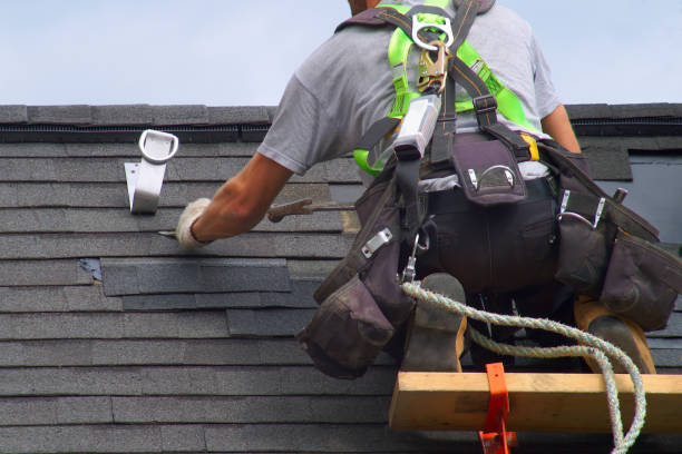 Best Residential Roofing Contractor  in Temple Terrace, FL