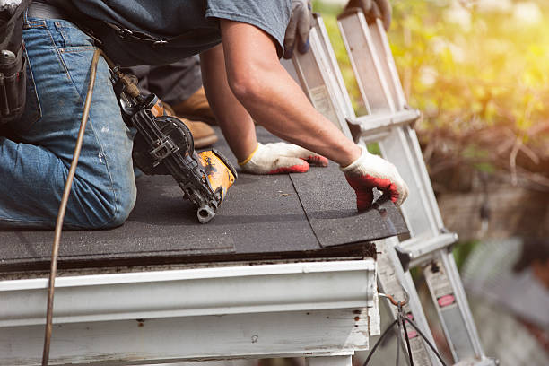 Quick and Trustworthy Emergency Roof Repair Services in Temple Terrace, FL